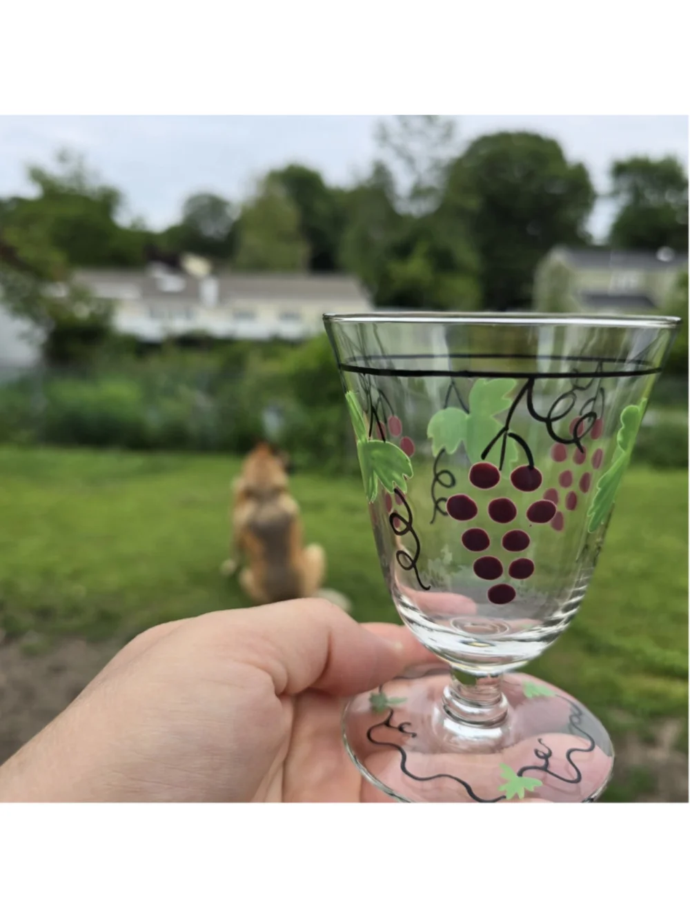 MCM Mid Century Hand Painted Franciscan Ware Wine Glasses Goblets 6 pc Set